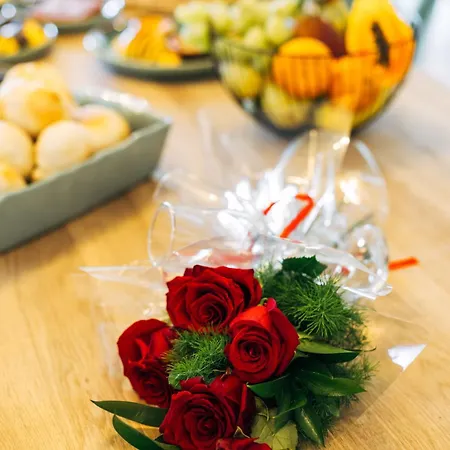 Appartement Bestvillas Plaza *