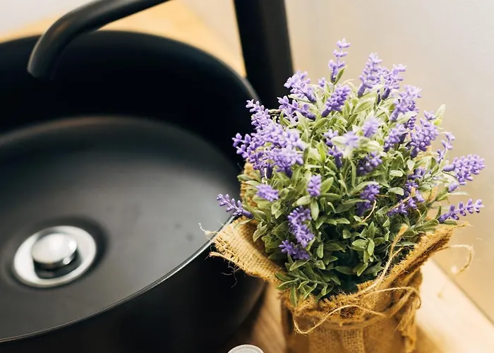 Bestvillas Plaza شقة